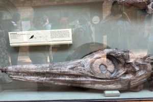 Londres: Museo de Historia Natural Visita guiada privada