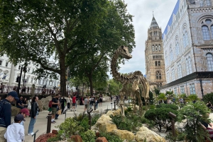 Londres: Museo de Historia Natural Visita guiada privada