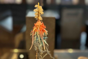 Londres: Museo de Historia Natural Visita guiada privada