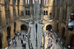 Londres: Museo de Historia Natural Visita guiada privada