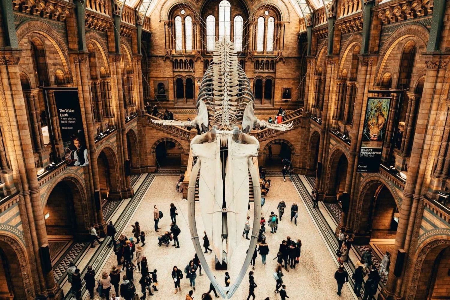 Londres: Visita guiada con audio en la aplicación del Museo de Historia Natural (sin ticket de entrada)
