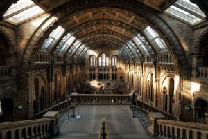 Londres: Visita guiada con audio en la aplicación del Museo de Historia Natural (sin ticket de entrada)