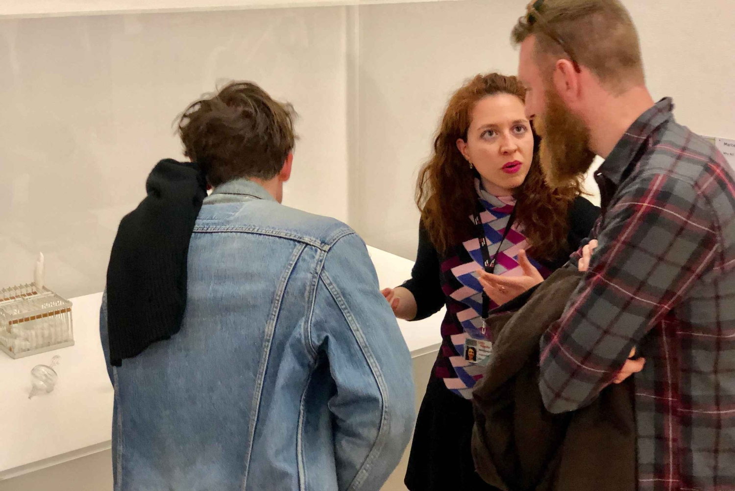 Tour guiado pelo Museu de História Natural de Londres Semi-privado 8ppl