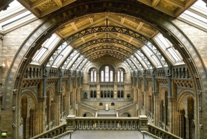 Tour guiado pelo Museu de História Natural de Londres Semi-privado 8ppl