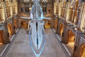 Tour guiado pelo Museu de História Natural de Londres Semi-privado 8ppl