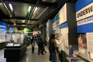 Londyn: Wycieczka prywatna do Muzeum Historii Naturalnej i omiń kolejkę