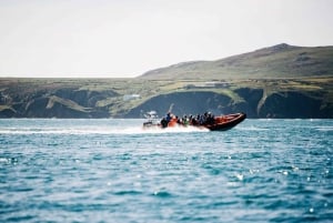 Newhaven: Seven Sisters and Birling Gap Boat Tour