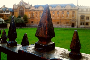 Oxford: Harry Potter Insights Divinity School Groepsrondleiding