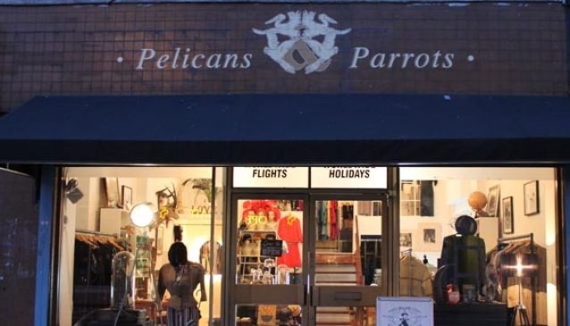 Pelicans & Parrots
