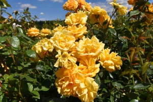 Privétour naar Chartwell, het huis van Sir Winston Churchill