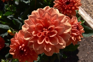 Privétour naar Chartwell, het huis van Sir Winston Churchill