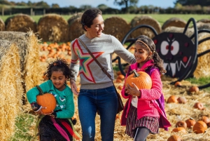 ロンドン：パンプキンパッチをご覧ください