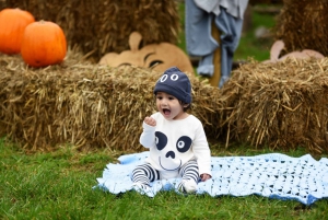 ロンドン：パンプキンパッチをご覧ください
