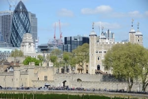 Royal London Private Full-Day Sightseeing Tour en taxi noir