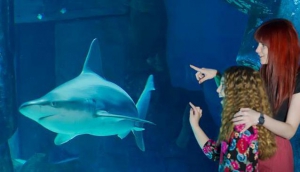 Sea Life London Aquarium
