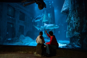 SEA LIFE London & DreamWorks Shrek's Adventure: Combo Ticket