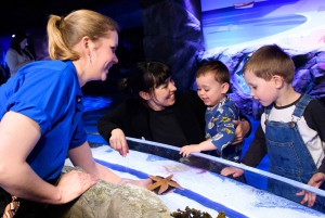 London: SEA LIFE Entry Ticket