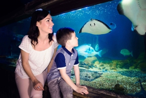 London: SEA LIFE Entry Ticket