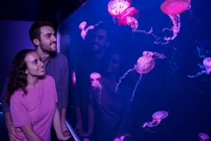 London: SEA LIFE Entry Ticket