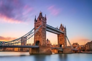 Londres : Visite guidée de la Tour de Londres à pied