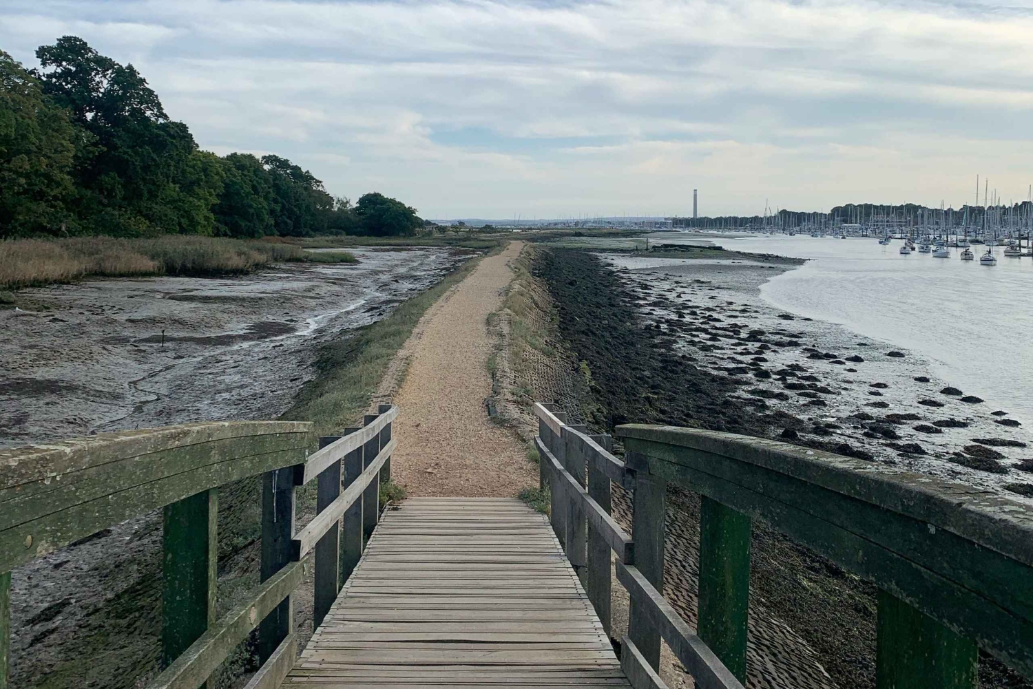 Traslado del puerto de cruceros de Southampton a Londres con visita turística