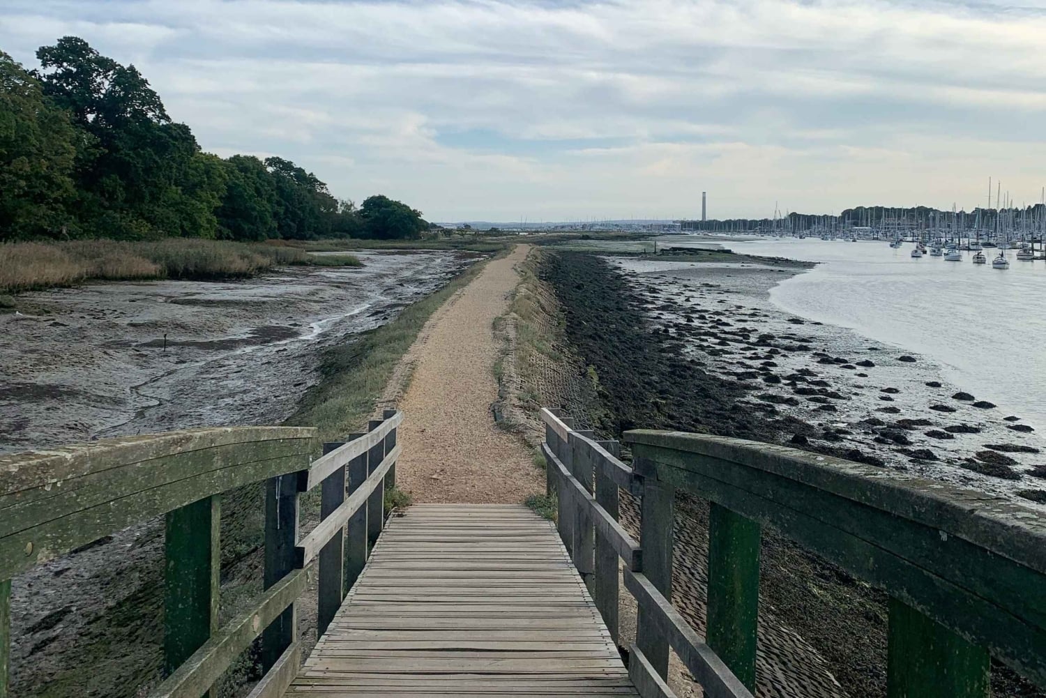 Traslado del puerto de cruceros de Southampton a Londres con visita turística