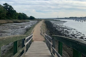 Traslado del puerto de cruceros de Southampton a Londres con visita turística