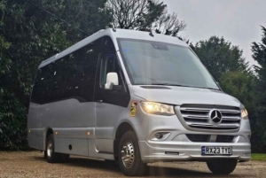 Traslado del puerto de cruceros de Southampton a Londres con visita turística