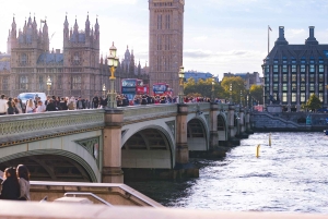 Traslado del puerto de cruceros de Southampton a Londres con visita turística