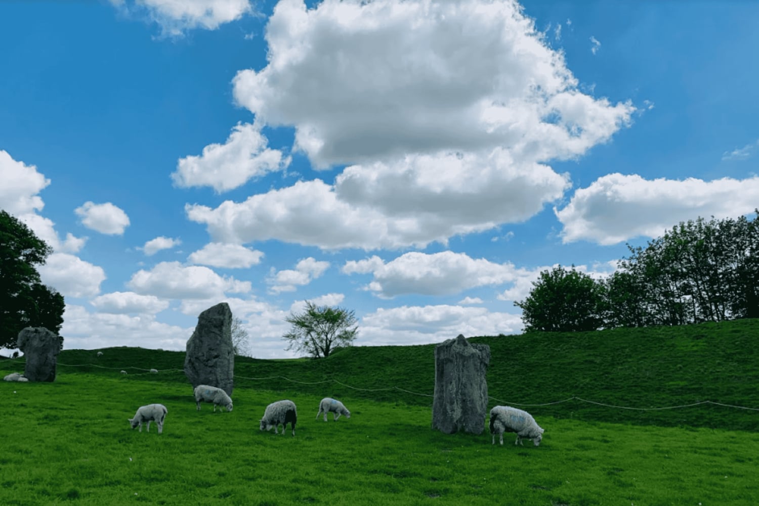 ストーンヘンジ特別アクセス - ロンドン発の夜間ツアー
