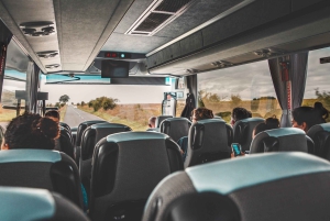 ストーンヘンジ特別アクセス - ロンドン発の夜間ツアー