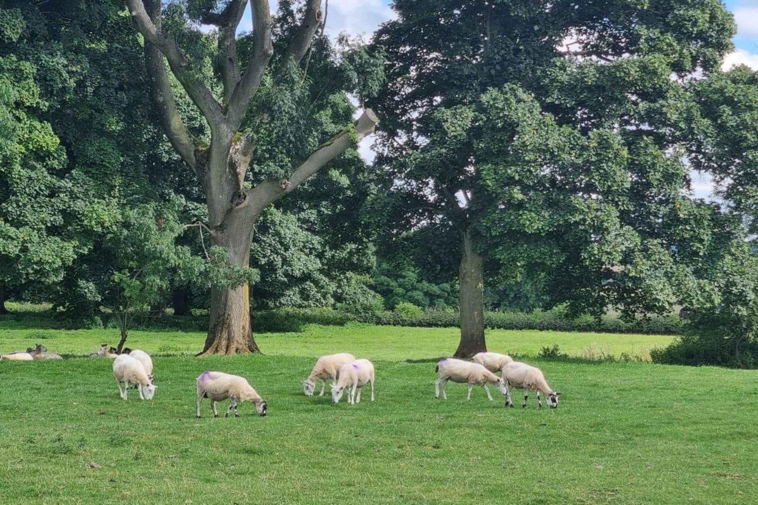 Stratford Upon Avon: Transfer till London via Cotswolds