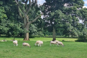 Stratford Upon Avon: Transfer till London via Cotswolds