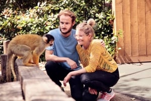 Le London Pass® : plus de 95 attractions, dont le Tower Bridge