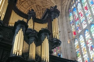 Die unterhaltsamste Tour durch Cambridge – von einem Ex-Studenten!