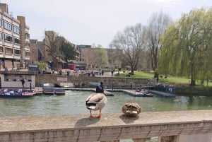 Die unterhaltsamste Tour durch Cambridge – von einem Ex-Studenten!