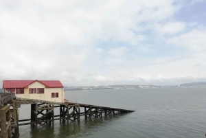 Passeio guiado a pé por The Mumbles