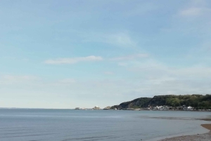 Passeio guiado a pé por The Mumbles