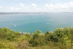 Passeio guiado a pé por The Mumbles