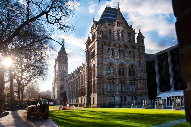 The Natural History Museum