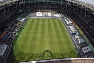 Tottenham Hotspur Stadium: The Dare Skywalk Experience