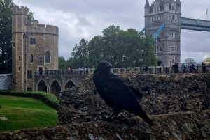 Klejnoty koronne Tower of London i wycieczka po angielskiej historii królewskiej