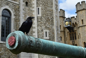 Tower of London & The Great Fire Monument Pass