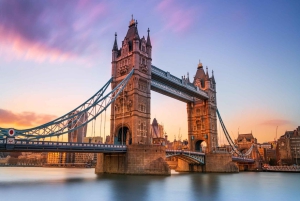 Tur til Tower of London med privat guide, billetter og afhentning