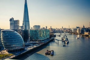 Tur til Tower of London med privat guide, billetter og afhentning