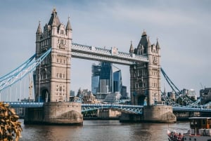 Ultieme Royal London, boottocht op de rivier de Theems & wandeltour