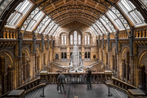 Odkryj historię: Wycieczka z przewodnikiem po Muzeum Brytyjskim