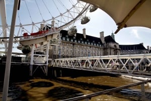 London: Halvdagstur med dobbeltdækkerbus og Themsen-bådtur