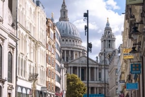 Westminsterin ja Tower Bridgen räätälöity kierros paikallisen kanssa