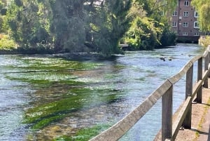 Винчестер: пешеходная экскурсия по историческим замкам и соборам